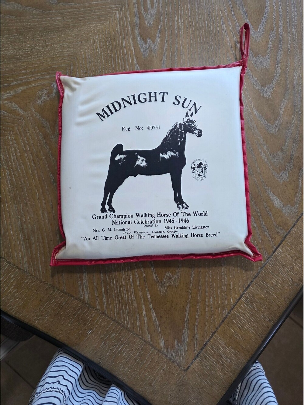 Vintage Midnight Sun Tennessee Walking Horse Memorial Stadium Cushion 12 x 12
